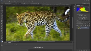 The Industry-Standard Photoshop CS6: Sleek, Powerful, and Fast