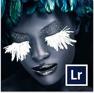 Download the Free Trial of Adobe Lightroom 4!
