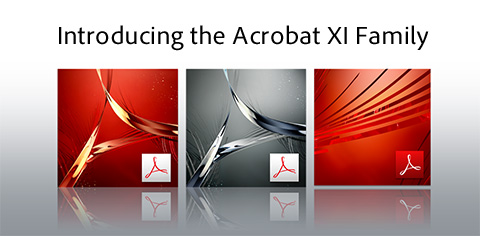 acrobat xi standard