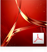 Compare Versions: What’s the Difference Between Acrobat XI vs. X vs. 9?