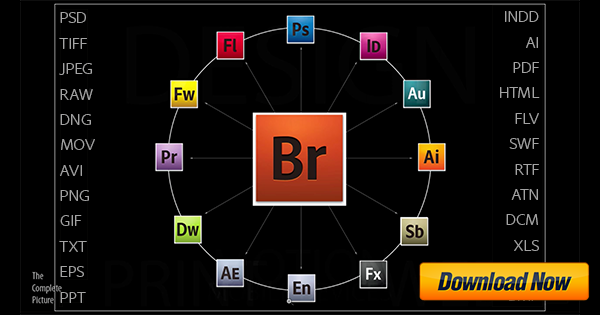 Adobe bridge cc review