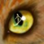 Avatar for ~Tye
