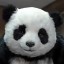 Avatar for carmas
