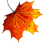 Avatar for Laura Coldewey