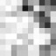 Avatar for cam