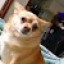Avatar for Yujin