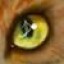Avatar for ~Tye