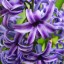 Avatar for Phyllis Carter