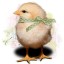 Avatar for Phyllis