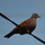 Avatar for John