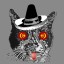 Avatar for Carlos