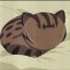 Avatar for Shannon