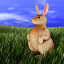 Avatar for Shawn Altorio