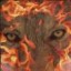 Avatar for Loren
